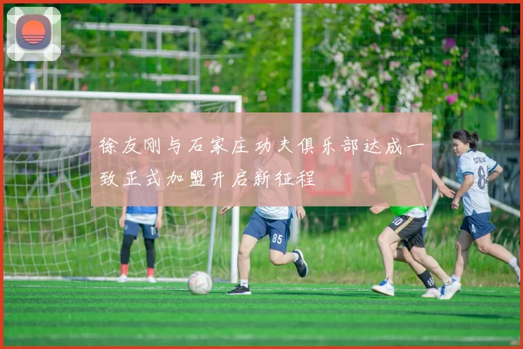 徐友刚与石家庄功夫俱乐部达成一致正式加盟开启新征程